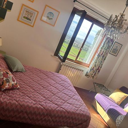 卡斯德尔诺沃贝拉登卡Casa Paola Nel Chianti住宿加早餐旅馆 外观 照片